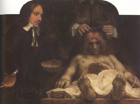 REMBRANDT Harmenszoon van Rijn The Anatomy Lesson of Dr Foan Deyman (mk33) Germany oil painting art